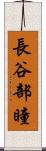 長谷部瞳 Scroll