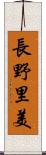 長野里美 Scroll