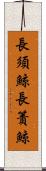 長須鯨 Scroll