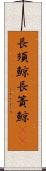 長須鯨 Scroll