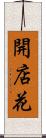 開店花 Scroll