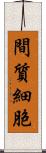 間質細胞 Scroll