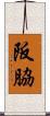 阪脇 Scroll