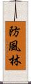 防風林 Scroll