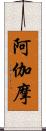 阿伽摩 Scroll