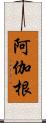 阿伽根 Scroll