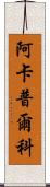 阿卡普爾科 Scroll