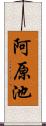 阿原池 Scroll