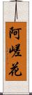 阿嵯花 Scroll