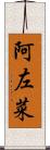 阿左菜 Scroll