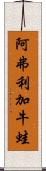 阿弗利加牛蛙 Scroll