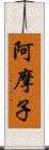 阿摩子 Scroll