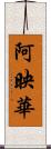 阿映華 Scroll