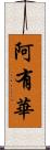 阿有華 Scroll