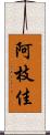 阿枝佳 Scroll