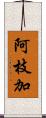 阿枝加 Scroll