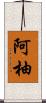 阿柚 Scroll