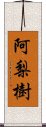 阿梨樹 Scroll