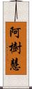 阿樹慧 Scroll