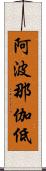 阿波那伽低 Scroll