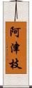 阿津枝 Scroll