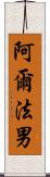 阿爾法男 Scroll