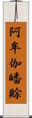 阿牟伽皤賖 Scroll