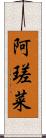 阿瑳菜 Scroll