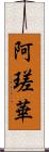 阿瑳華 Scroll