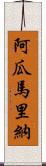 Aguamarina Scroll