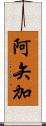 阿矢加 Scroll