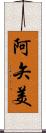 阿矢美 Scroll