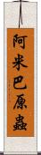 阿米巴原蟲 Scroll