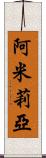Amilia Scroll