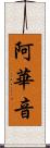 阿華音 Scroll