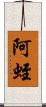 阿蛭 Scroll