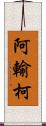阿輸柯 Scroll