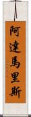 Adamaris Scroll