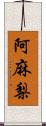 阿麻梨 Scroll