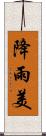 降雨美 Scroll