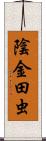 陰金田虫 Scroll