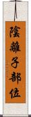 陰離子部位 Scroll