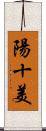 陽十美 Scroll