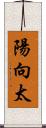 陽向太 Scroll