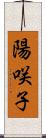 陽咲子 Scroll