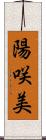 陽咲美 Scroll