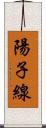 陽子線 Scroll