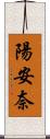 陽安奈 Scroll