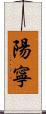 陽寧 Scroll