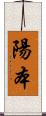 陽本 Scroll